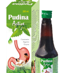 Pudina Active // 200 ml.